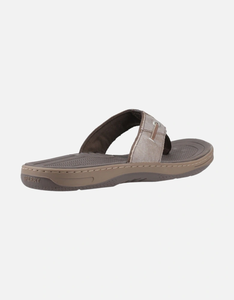 Sperry Batfish Leather Men's Brown Sandals