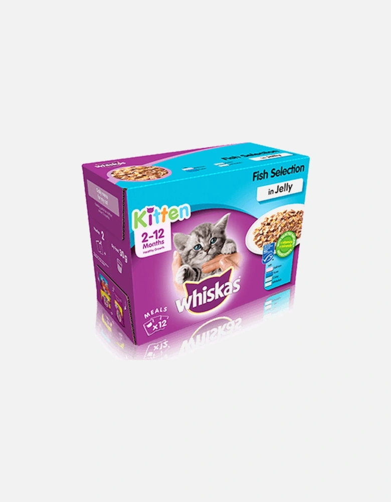 2-12 Months Kitten Fish Selection in Jelly 12 x 85g