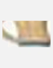 Thumbnail 5 of 5