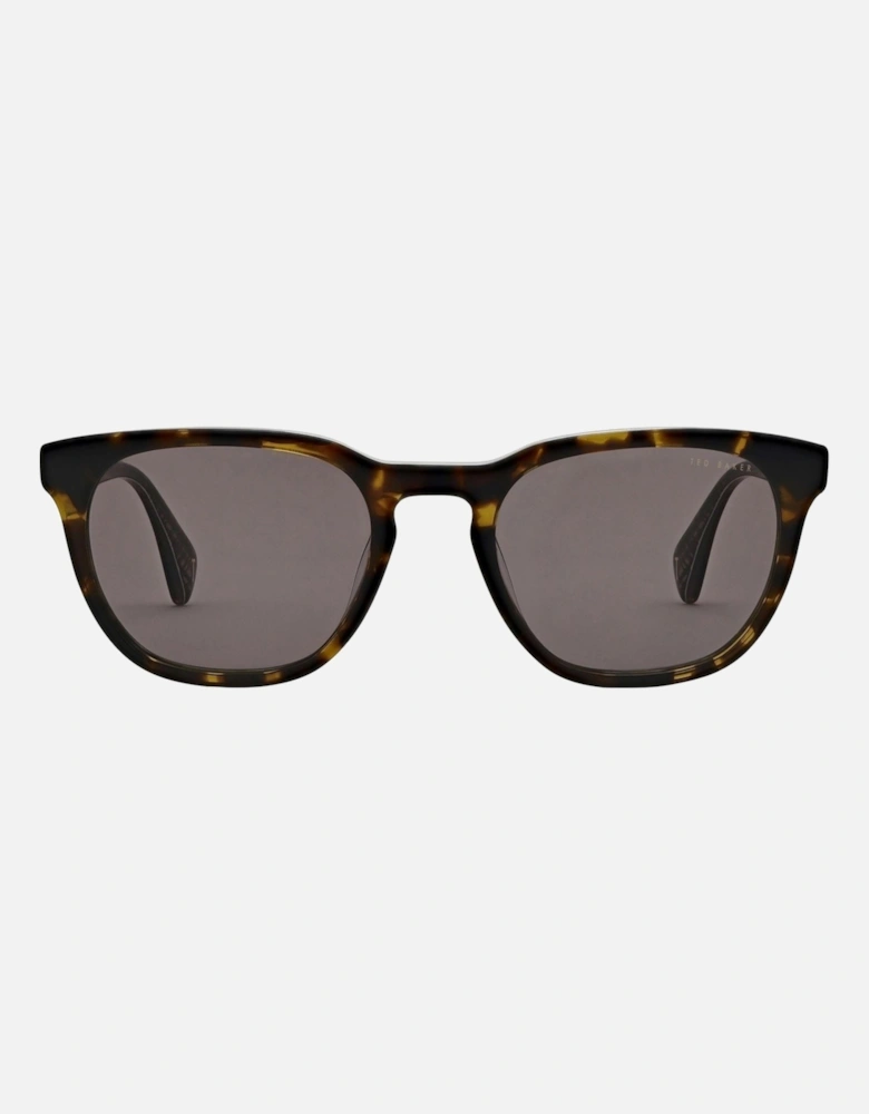 Sorley Men's Sunglasses