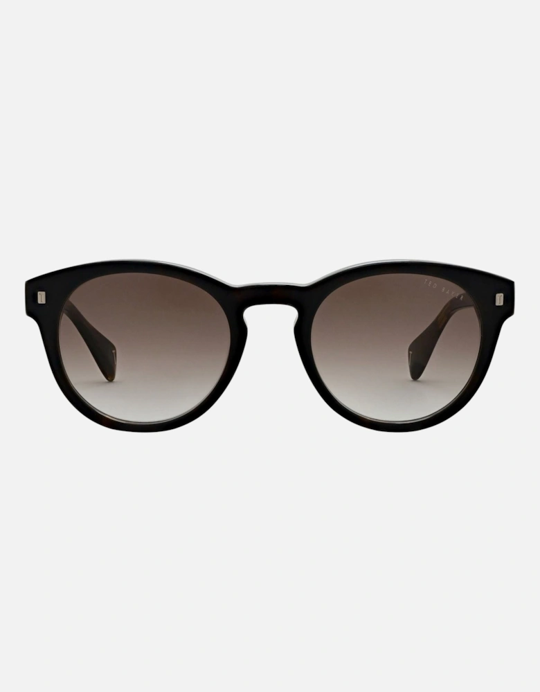Dax Men's Sunglasses