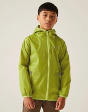 Grenoble Green Wild Lime