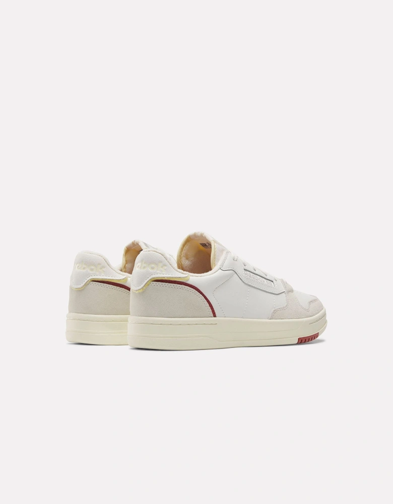 Phase Court Trainers