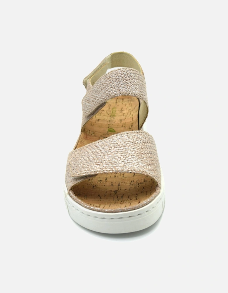WILLOW 955001