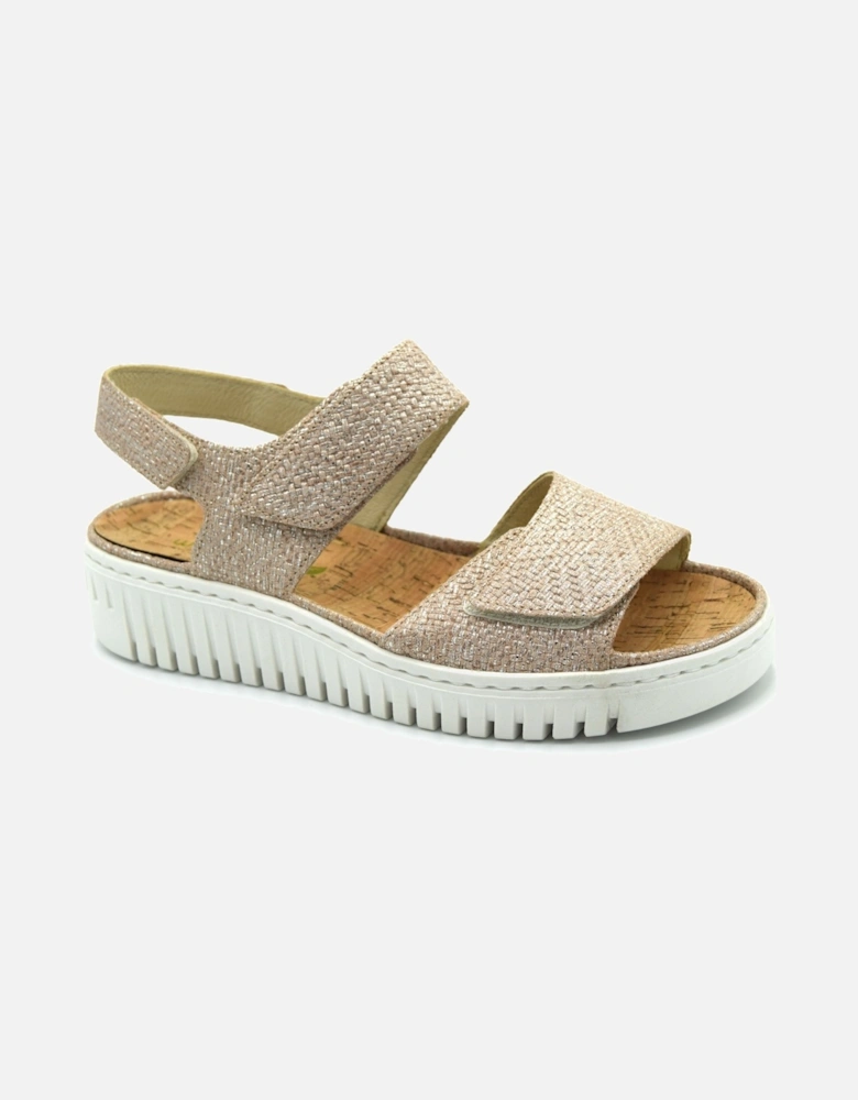 WILLOW 955001