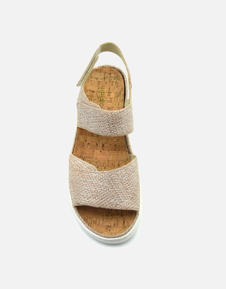 WILLOW 955001