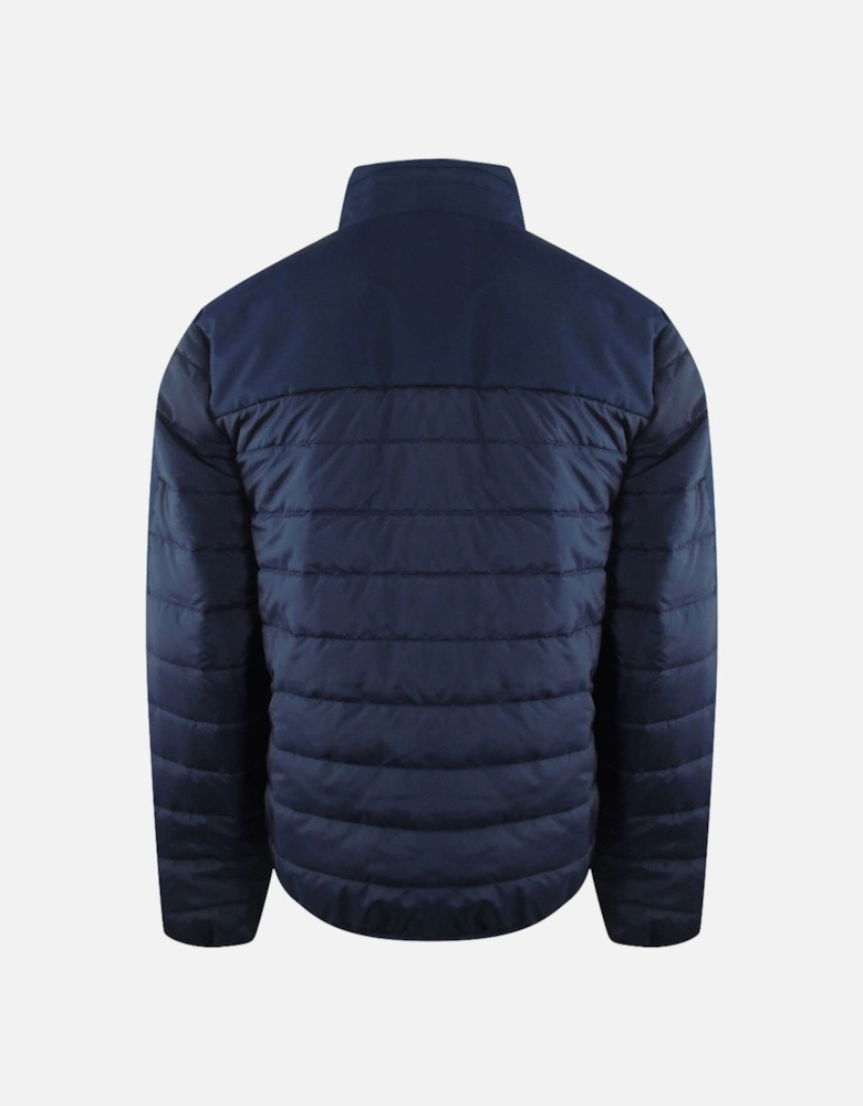 Padded Navy Blue Jacket