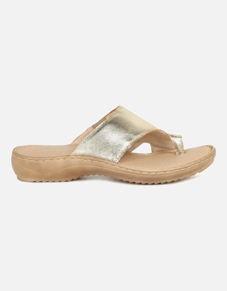 Dream Womens Mule Sandals