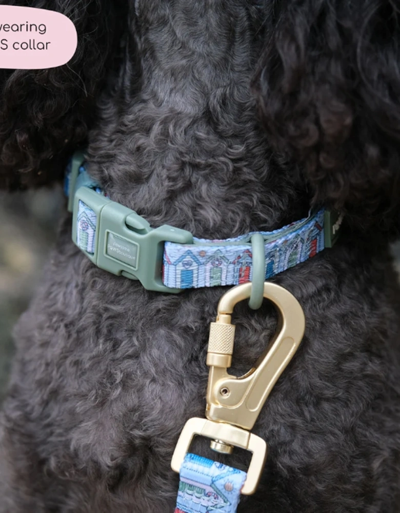 Collar Sandy Shores