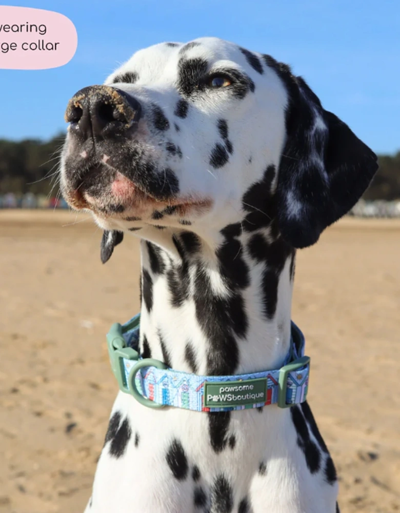 Collar Sandy Shores