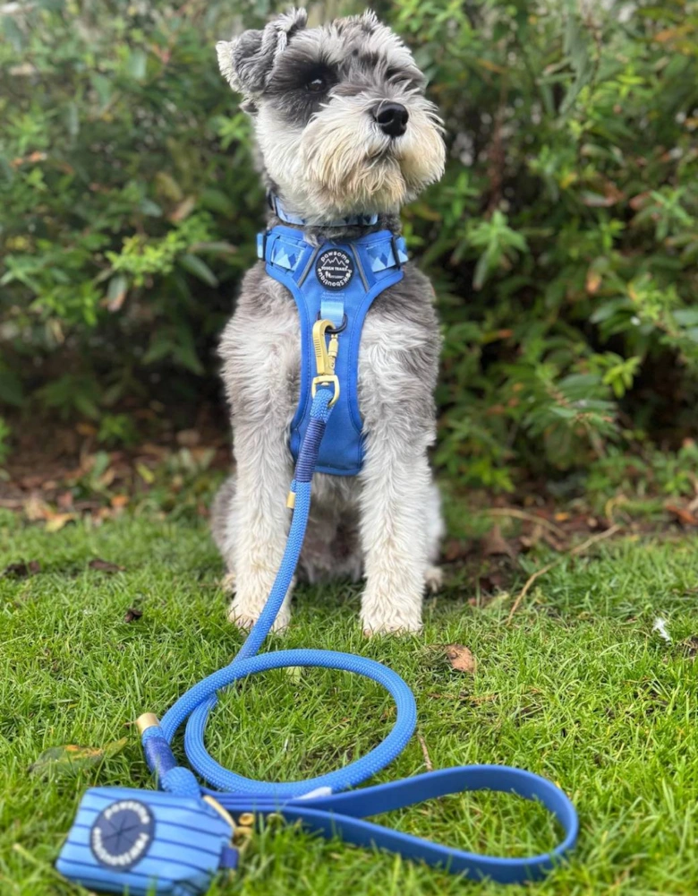 4ft Rope Lead Walkies Ready Cornflower Blue