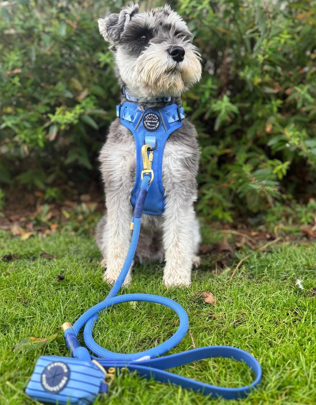 4ft Rope Lead Walkies Ready Cornflower Blue