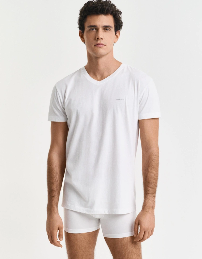 Men's 2 Pack V-Neck T-Shirt