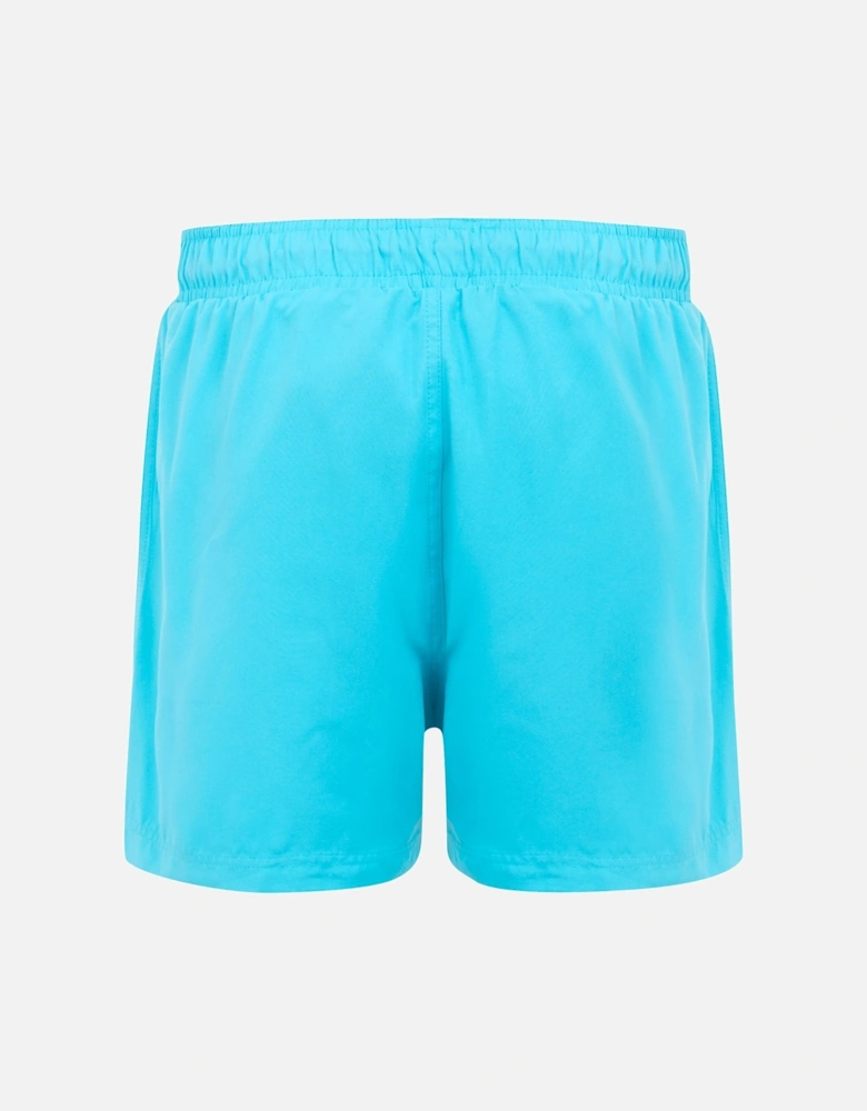 Mens Mawson II Swim Shorts