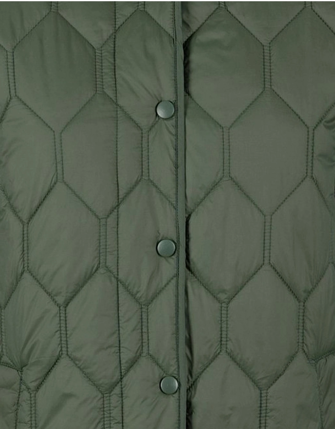 Womens/Ladies Phase Padded Jacket