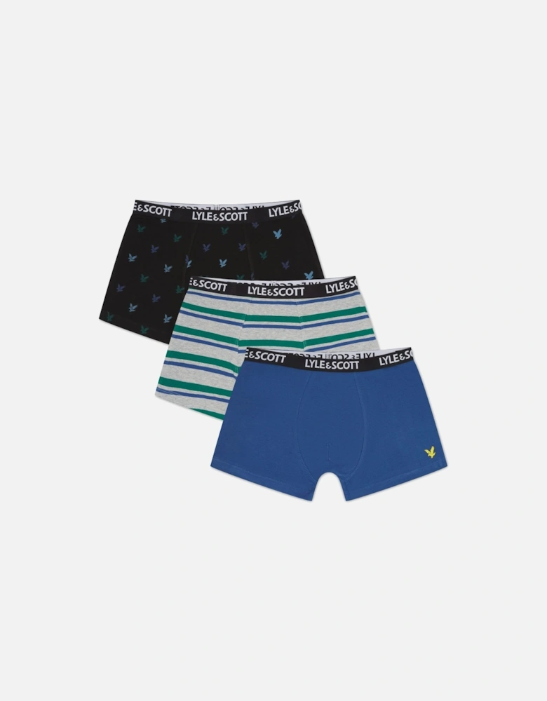 Juniors 3 Pack of Mixed Trunks