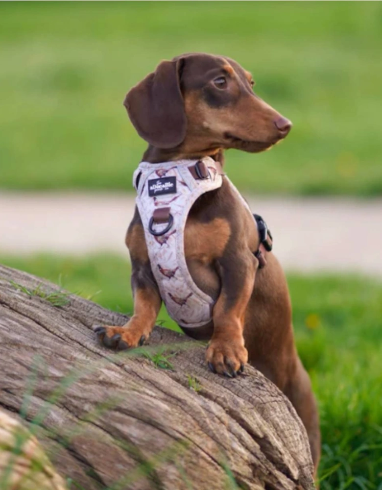 Hike & Go™ Harness Farm Pheasant