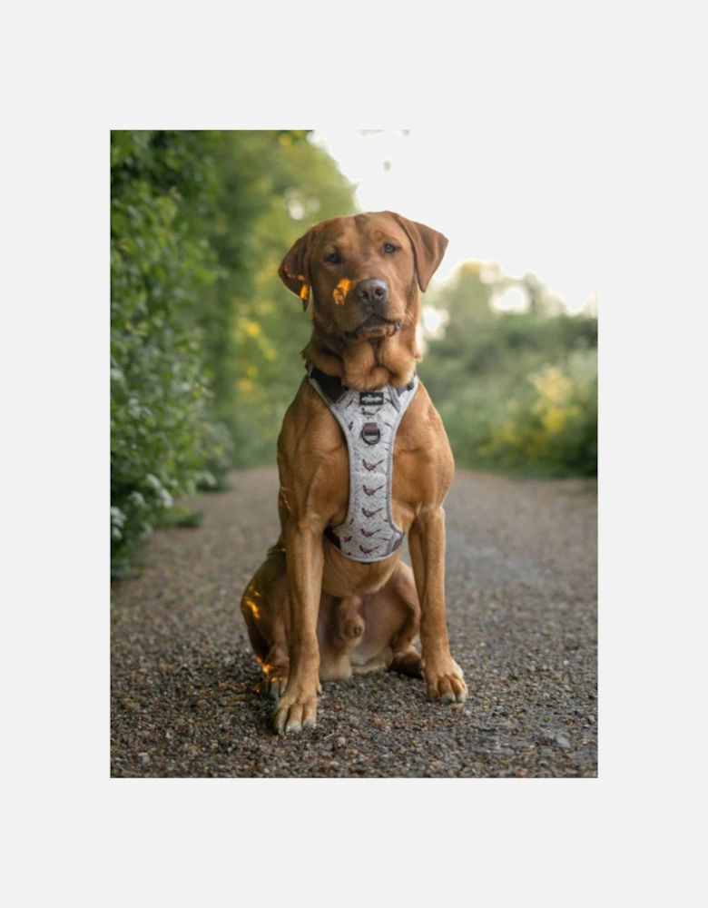 Hike & Go™ Harness Farm Pheasant