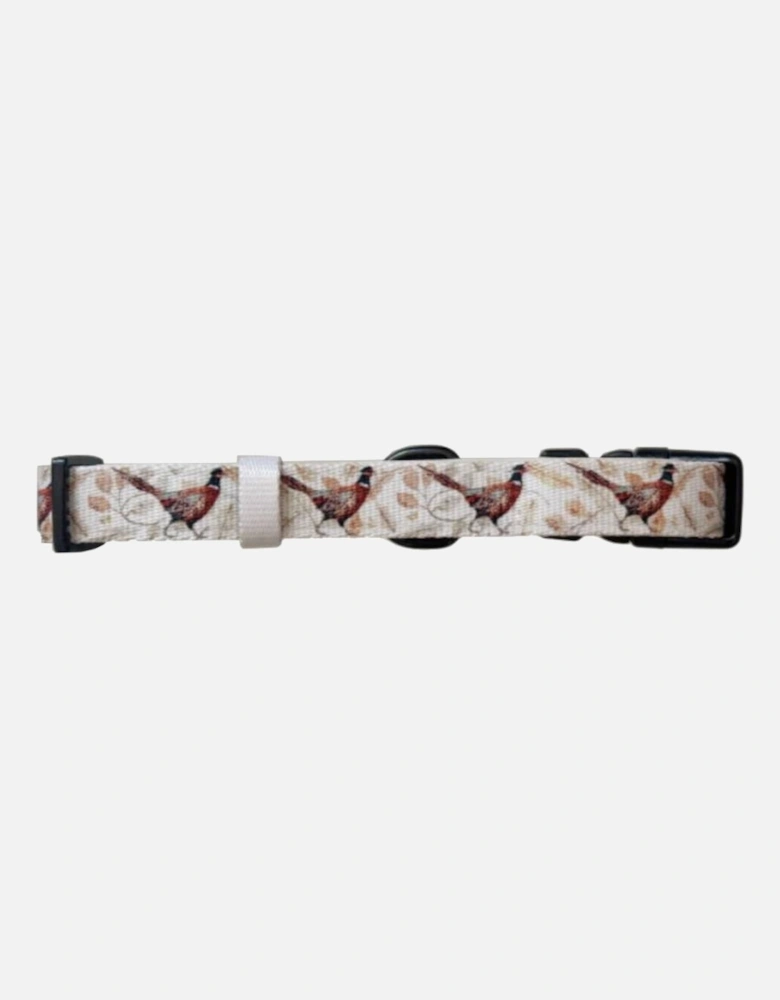 Collar Farmland Pheasant