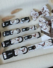 Thumbnail 5 of 6