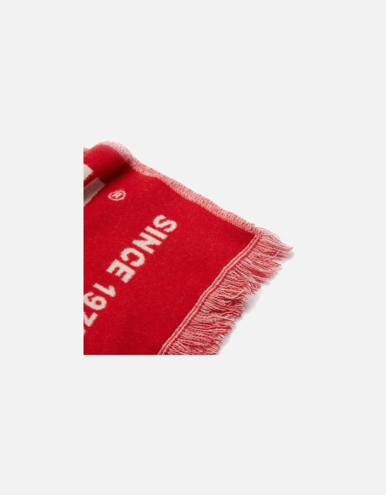 S-Bisc-New Scarf