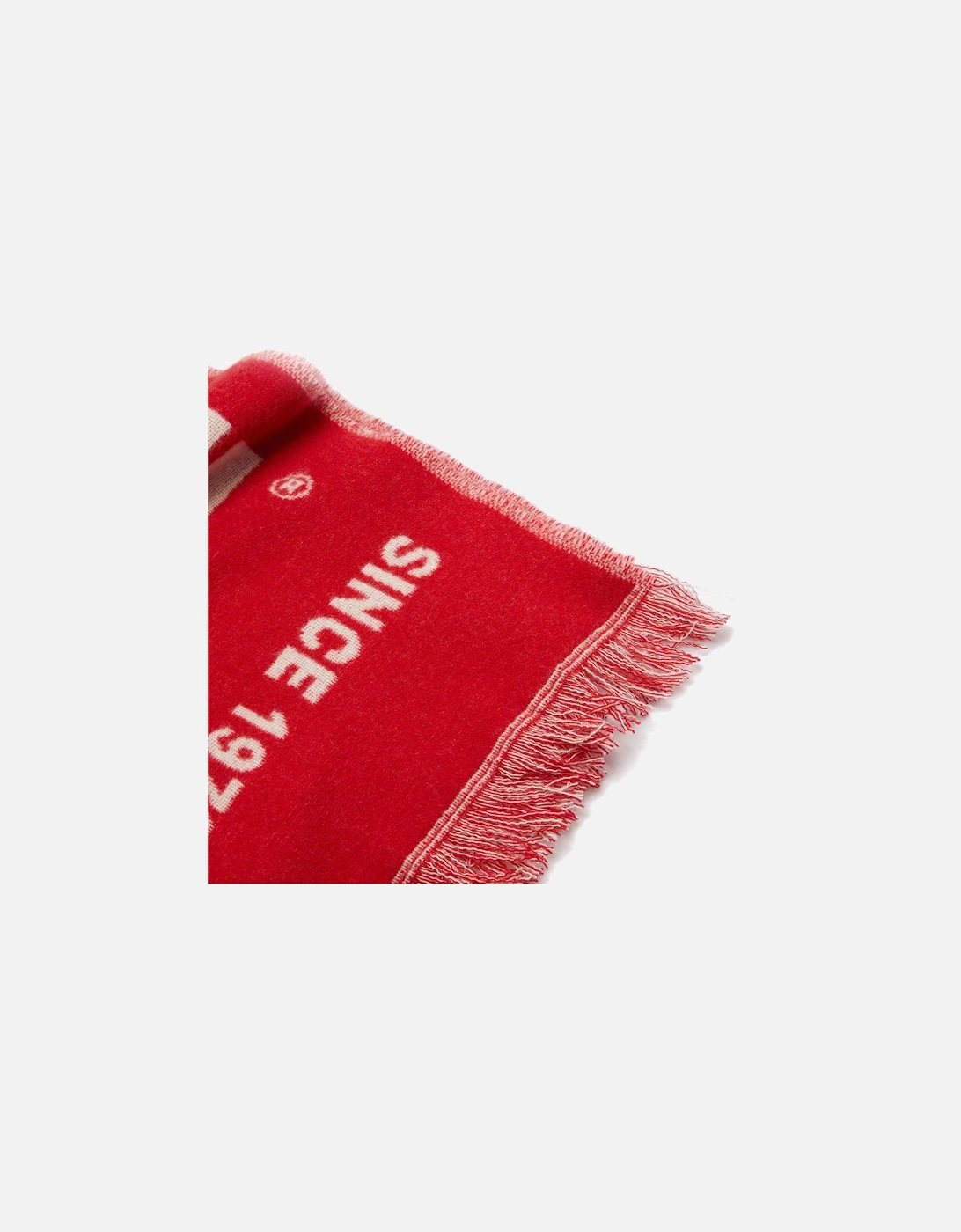 S-Bisc-New Scarf