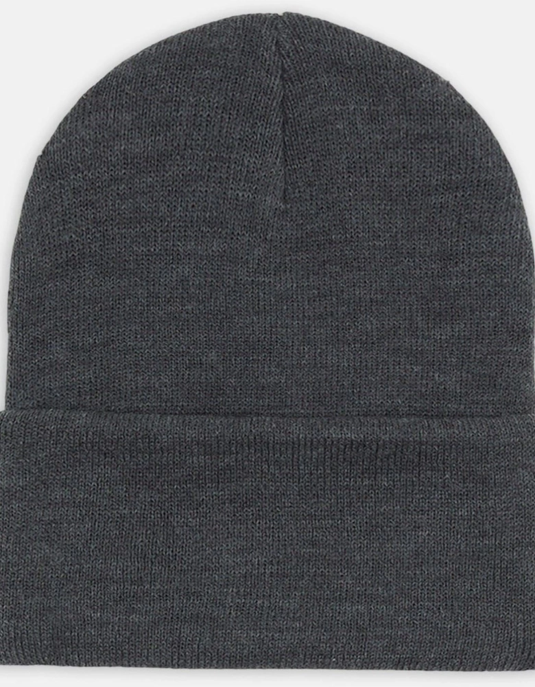 Acrylic Cuffed Unisex Adults Grey Beanie Hat