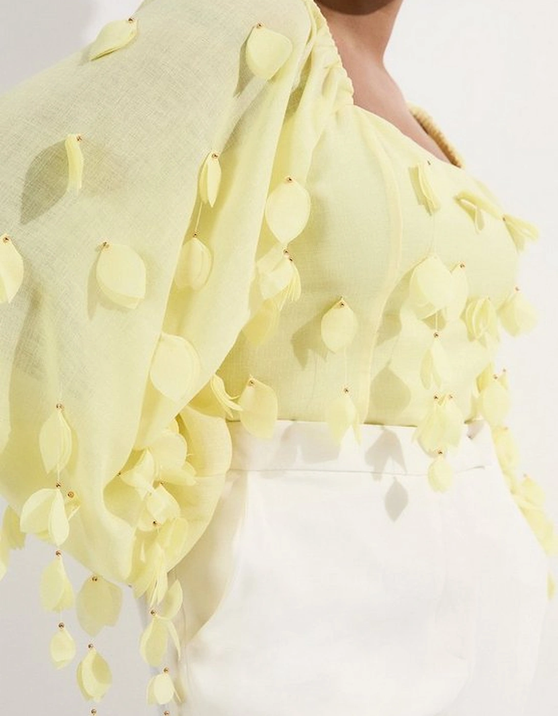 Plus Size Applique Balloon Sleeve Woven Top