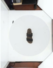 Thumbnail 4 of 4