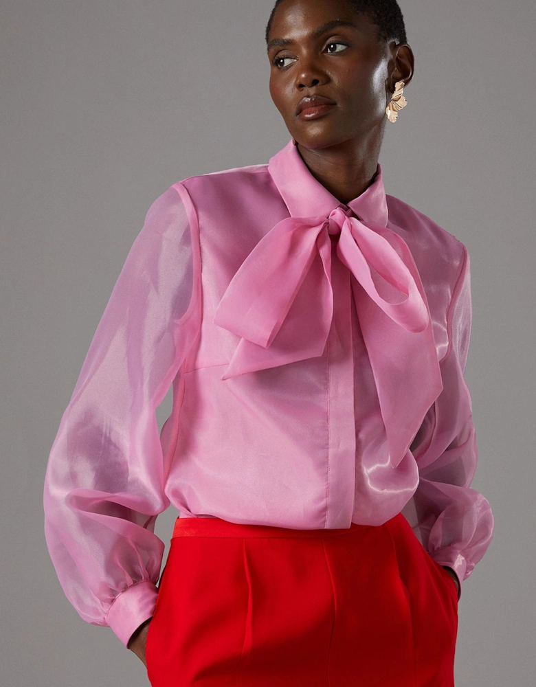 Statement Tie Neck Organza Blouse