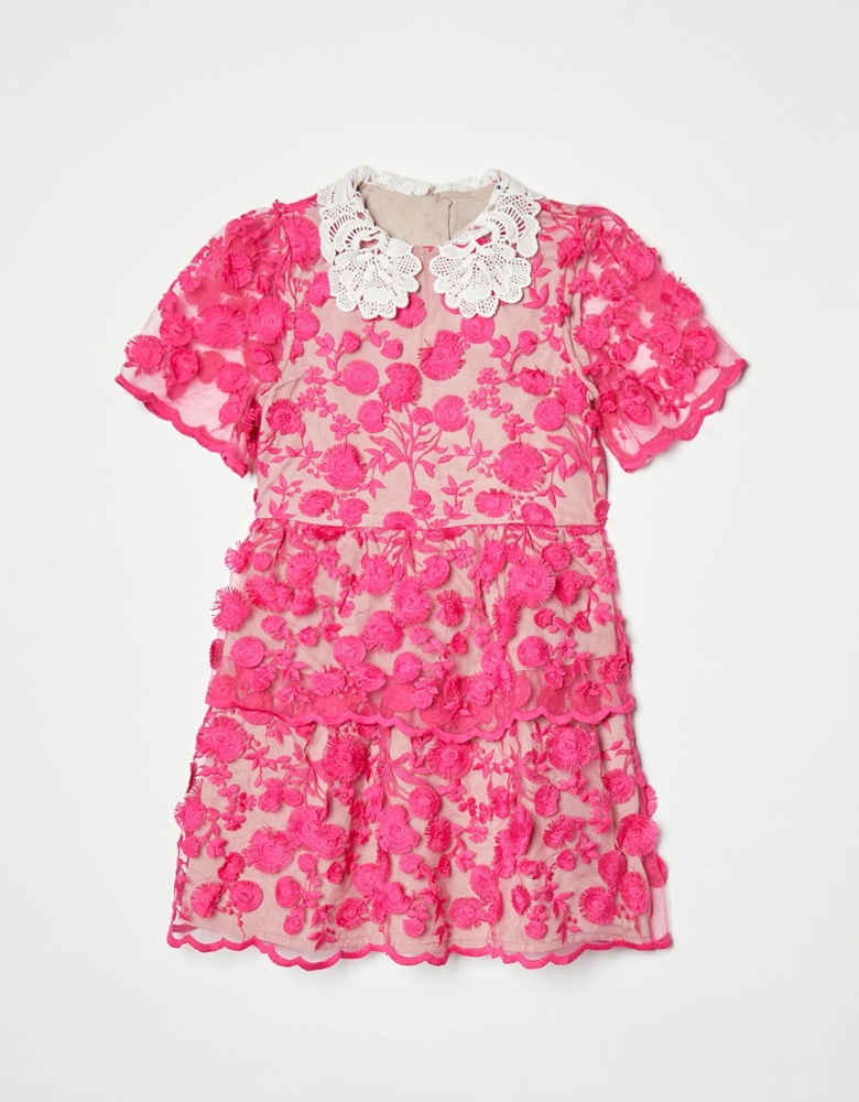 Children's Lace Collared Dress