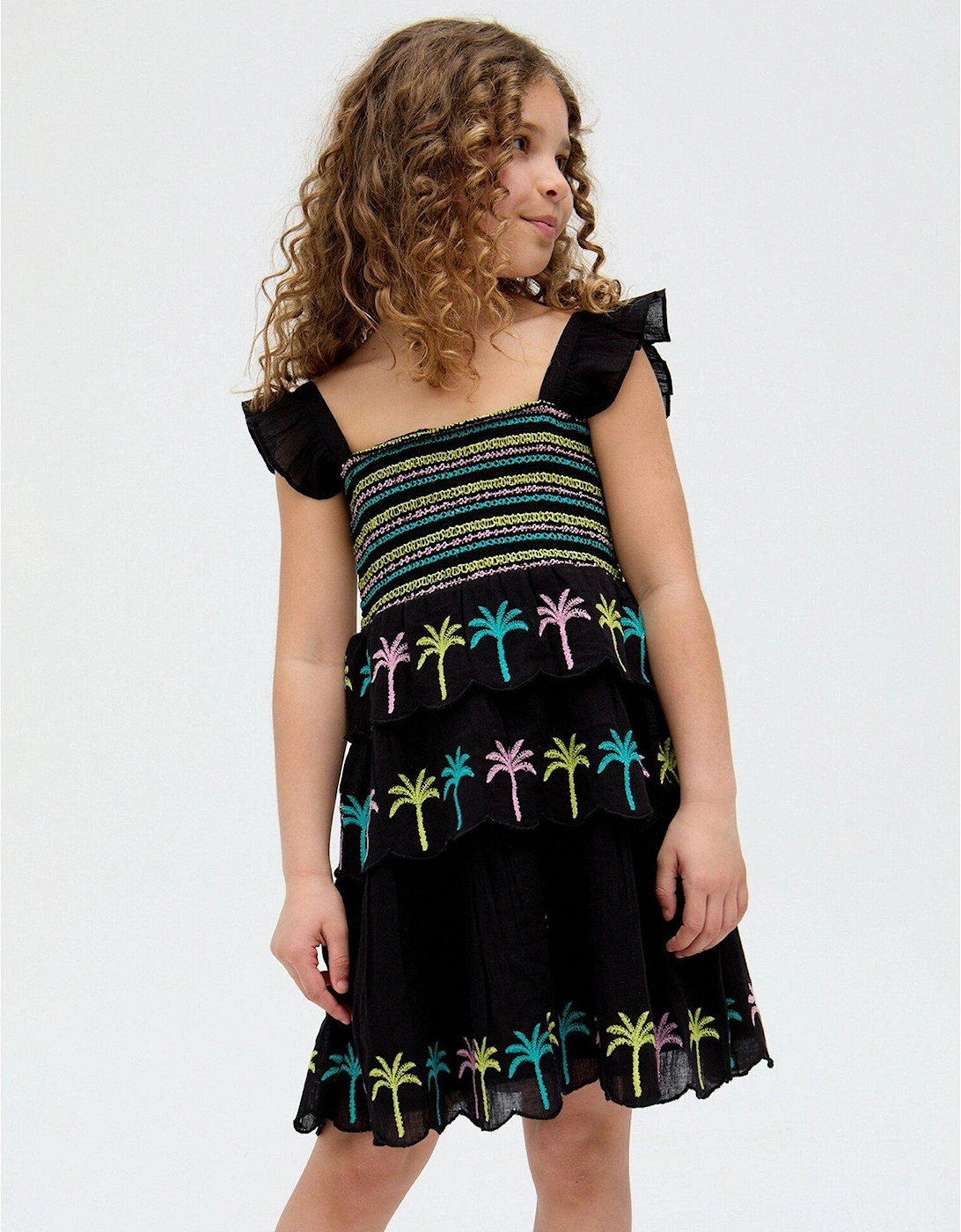 Girls Ruffle Embroidery Placement Dress - Blue, 2 of 1
