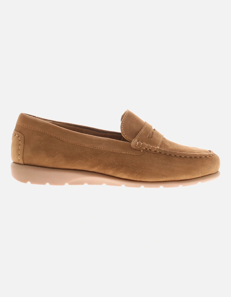 Shelby Suede Lo Women's Shoes UK Size