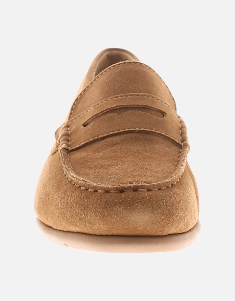 Shelby Suede Lo Women's Shoes UK Size