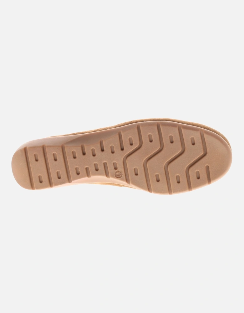 Shelby Suede Lo Women's Shoes UK Size