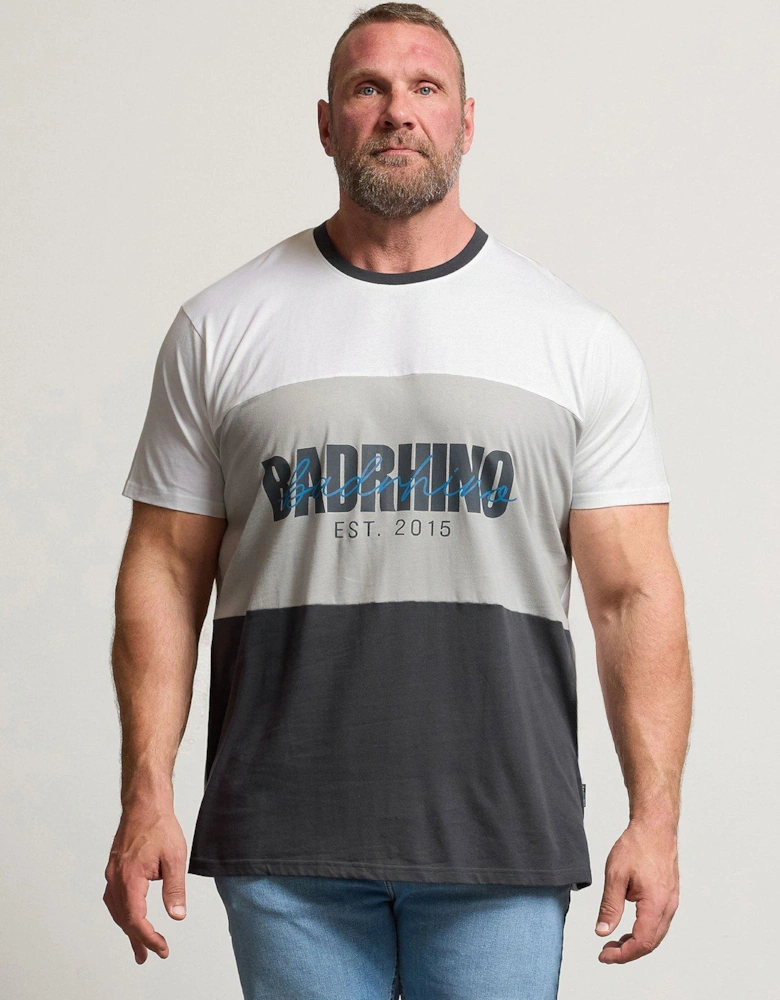 Slogan T-Shirt - Grey