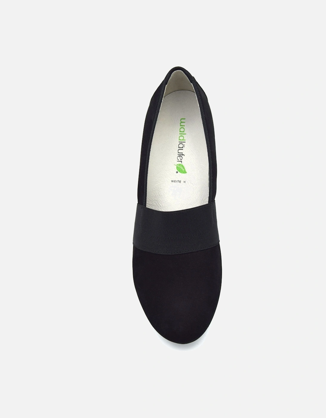 HILARIA 358505