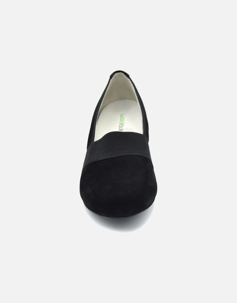 HILARIA 358505