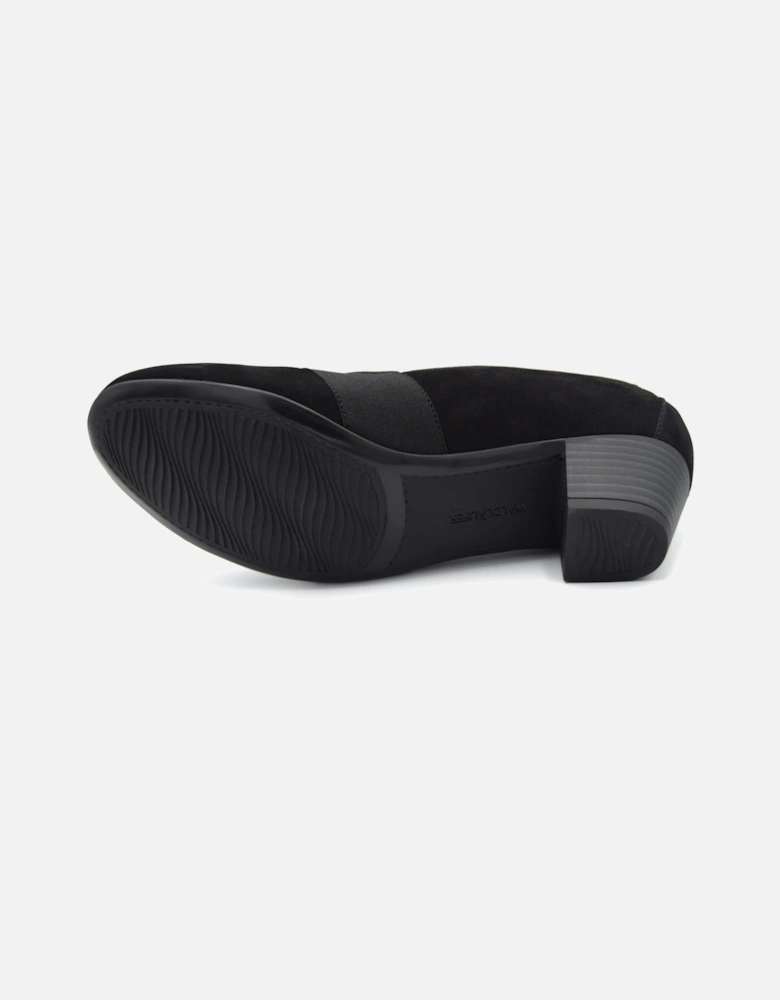 HILARIA 358505