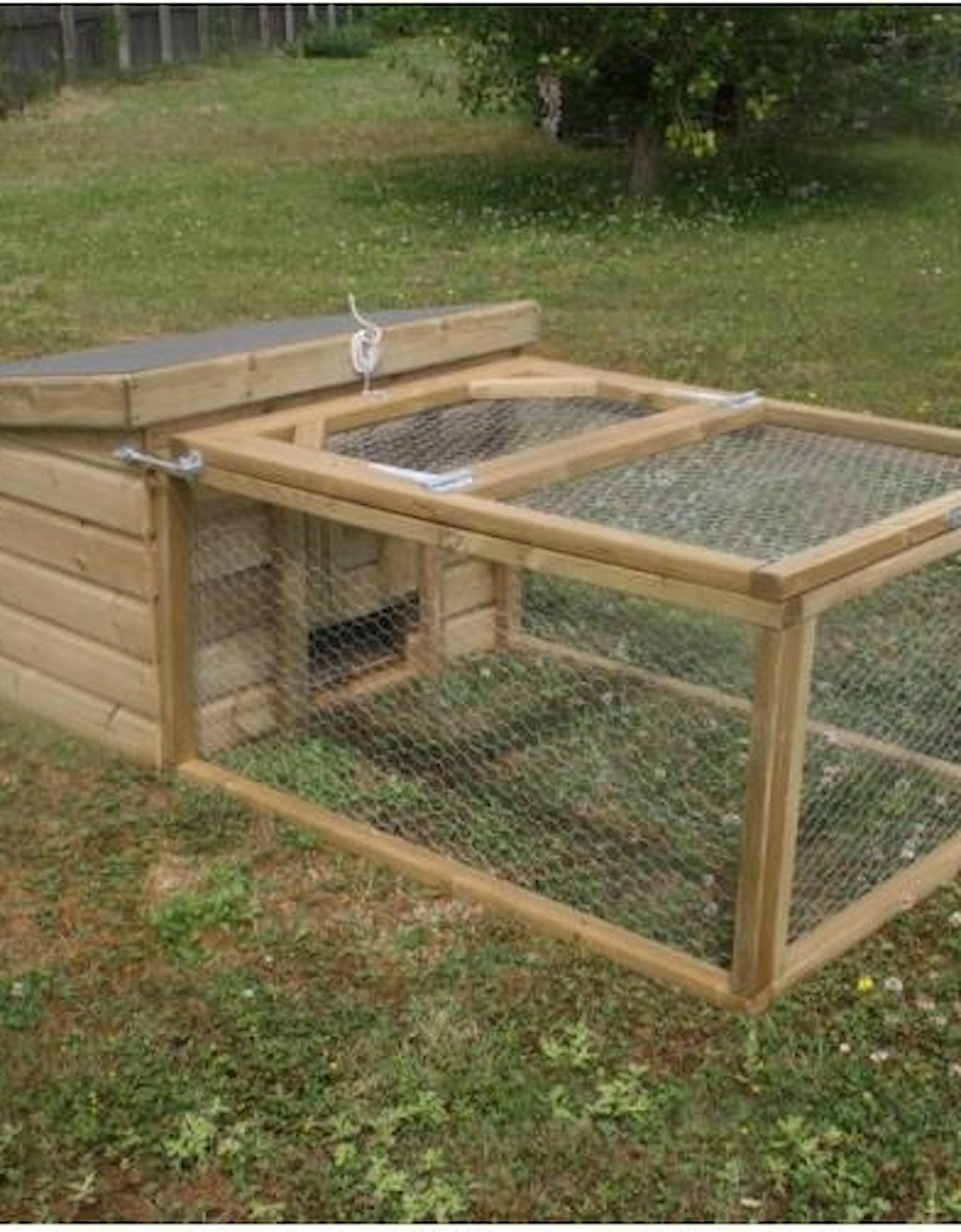 Starter Coop Large, 2 of 1