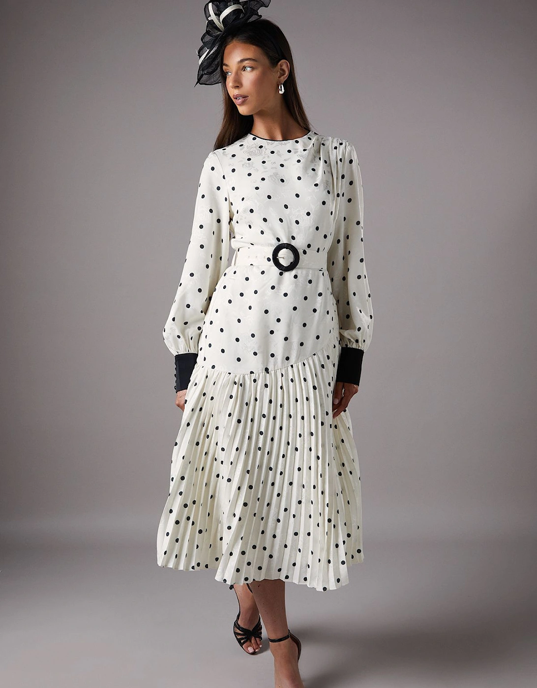 Long Sleeve Spot Pleated Maxi Dress, 2 of 1