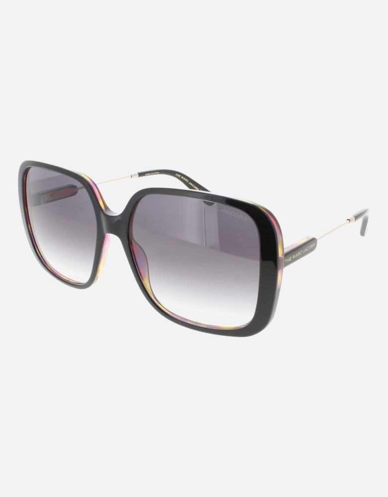 Dark Grey SF Lensed Black Frame Sunglasses