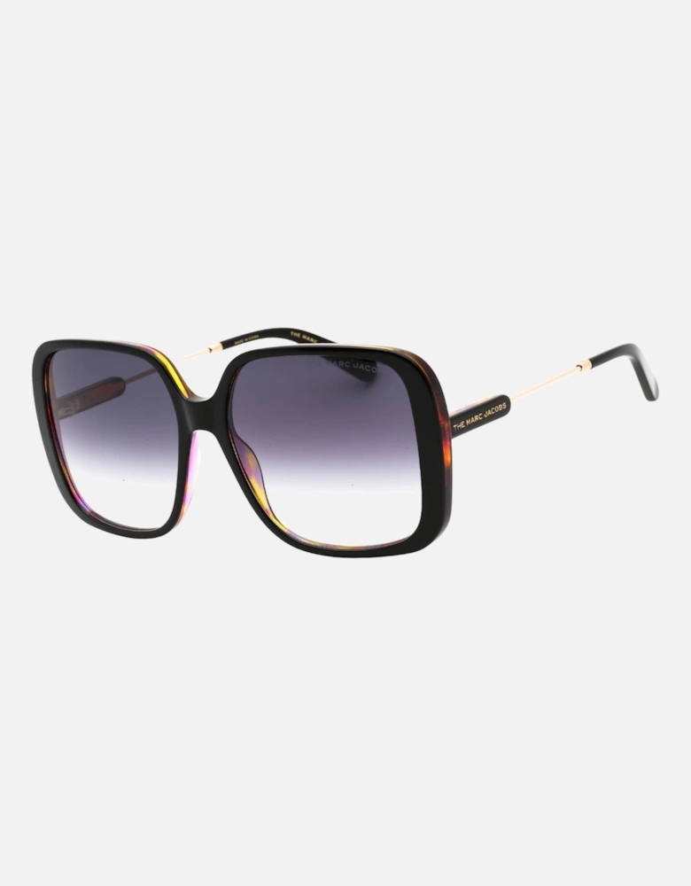 Dark Grey SF Lensed Black Frame Sunglasses