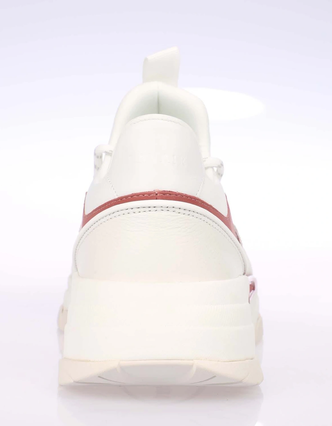 Creator Evo Trainers