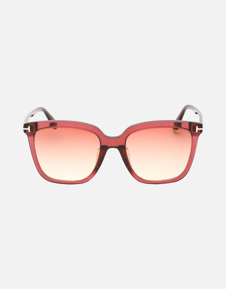 Selby Shiny Bordeaux Sunglasses