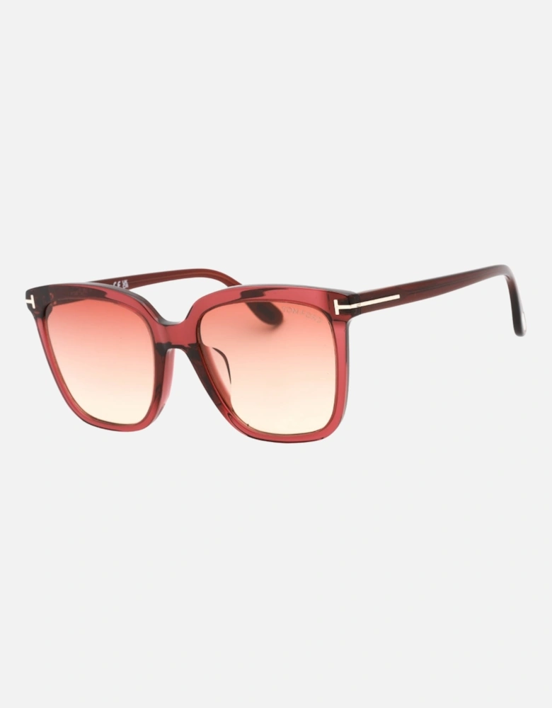 Selby Shiny Bordeaux Sunglasses