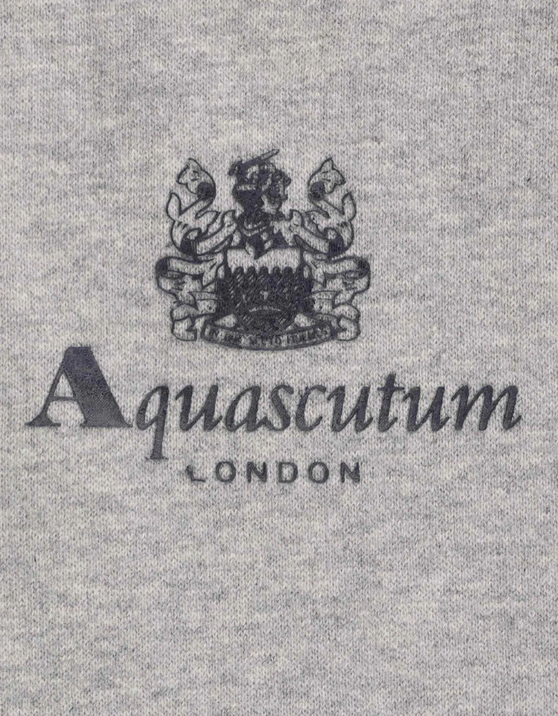 Aquascutum Active Small Logo Grey Hoodie