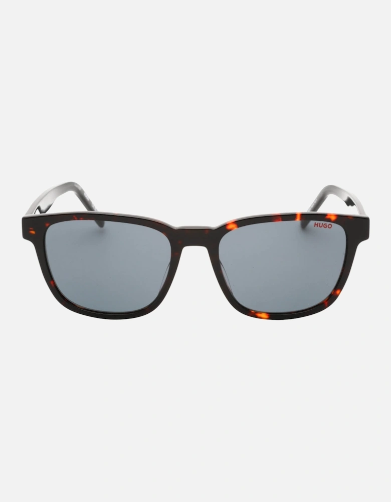 Havana Red Dark Framed Sunglasses