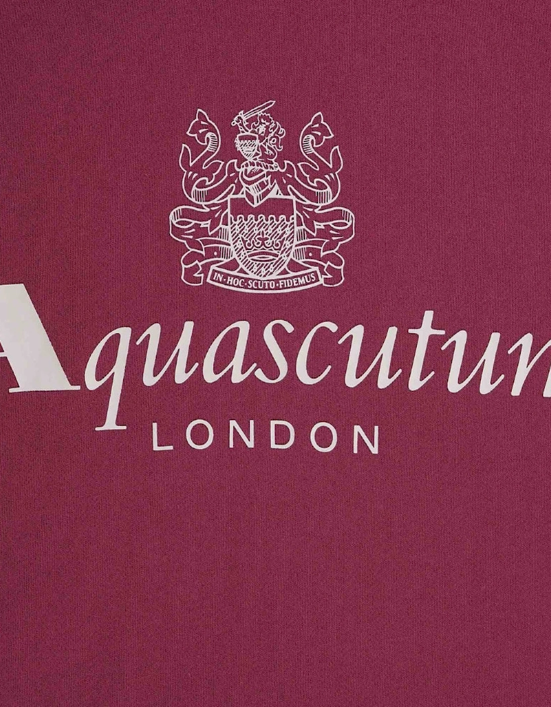 Aquascutum Active Big Logo Burgundy Hoodie