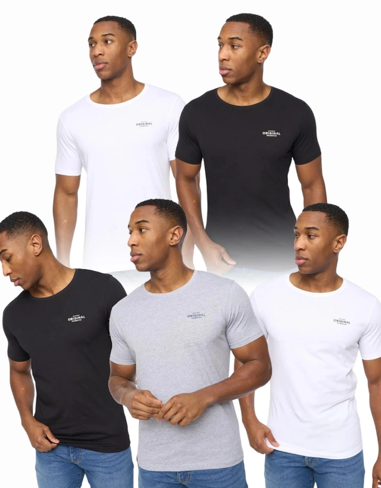 Mens Basicstandard T-Shirt (Pack of 5)